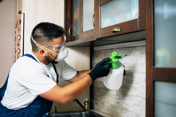Pest Control for Restaurants in Wolfforth, TX