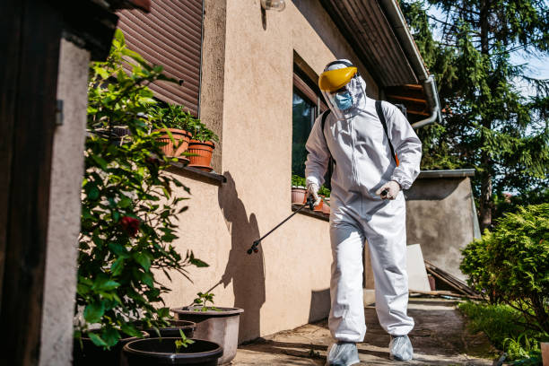 Wildlife Control Services in Wolfforth, TX