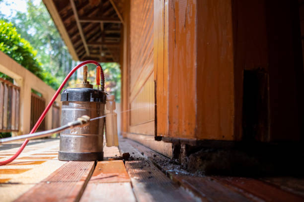 Best Insect Control  in Wolfforth, TX