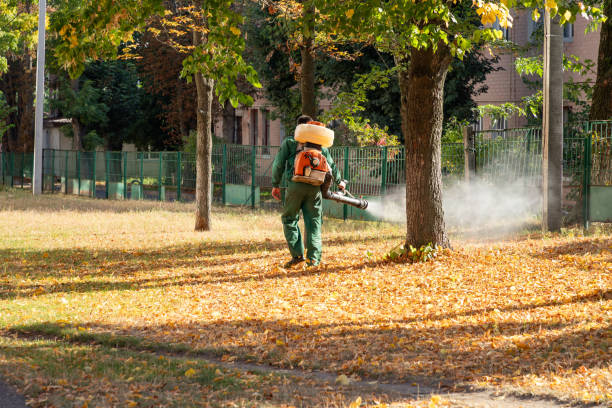 Best Pest Removal Services  in Wolfforth, TX